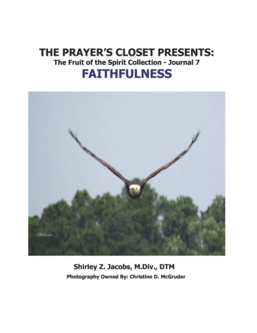 The Prayer's Closet Presents: The Fruit of the Spirit Collection, Faithfulness journal cover