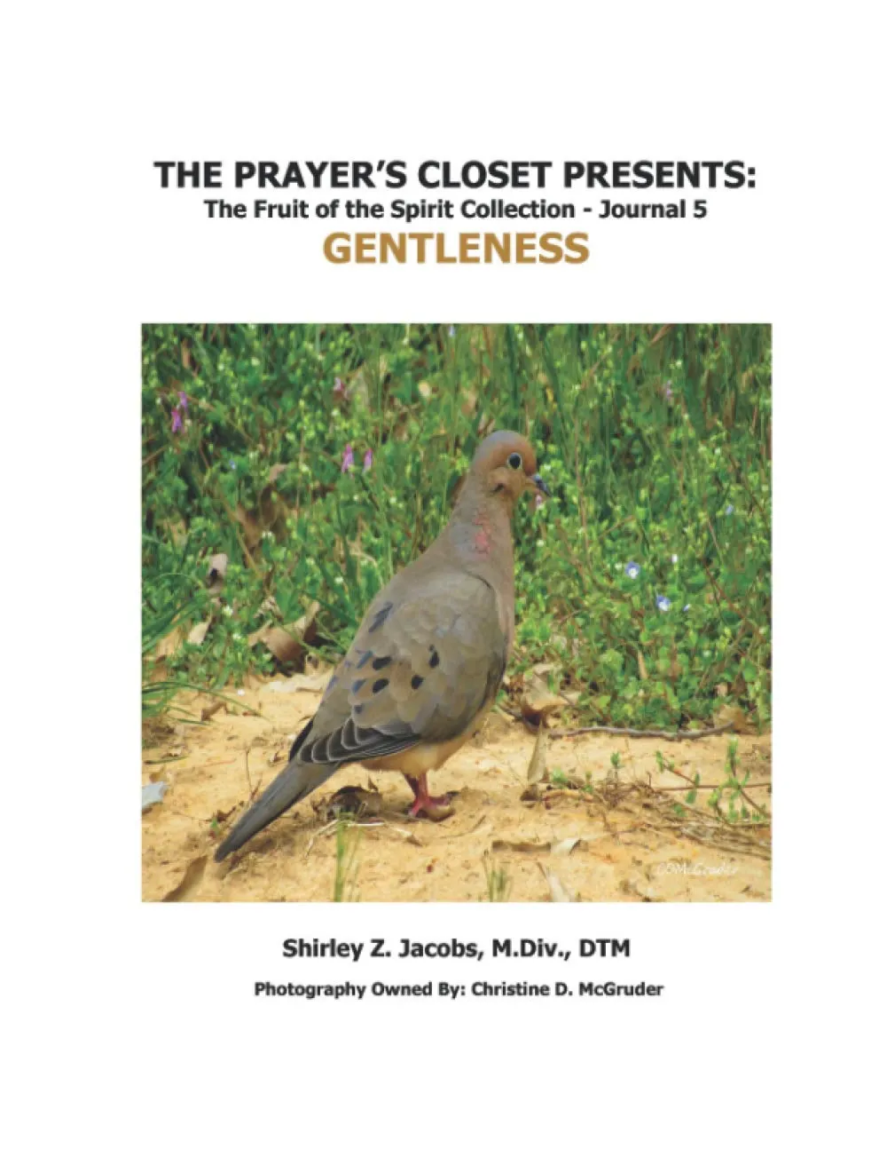 The Prayer's Closet Presents: The Fruit of the Spirit Collection, Gentleness journal cover