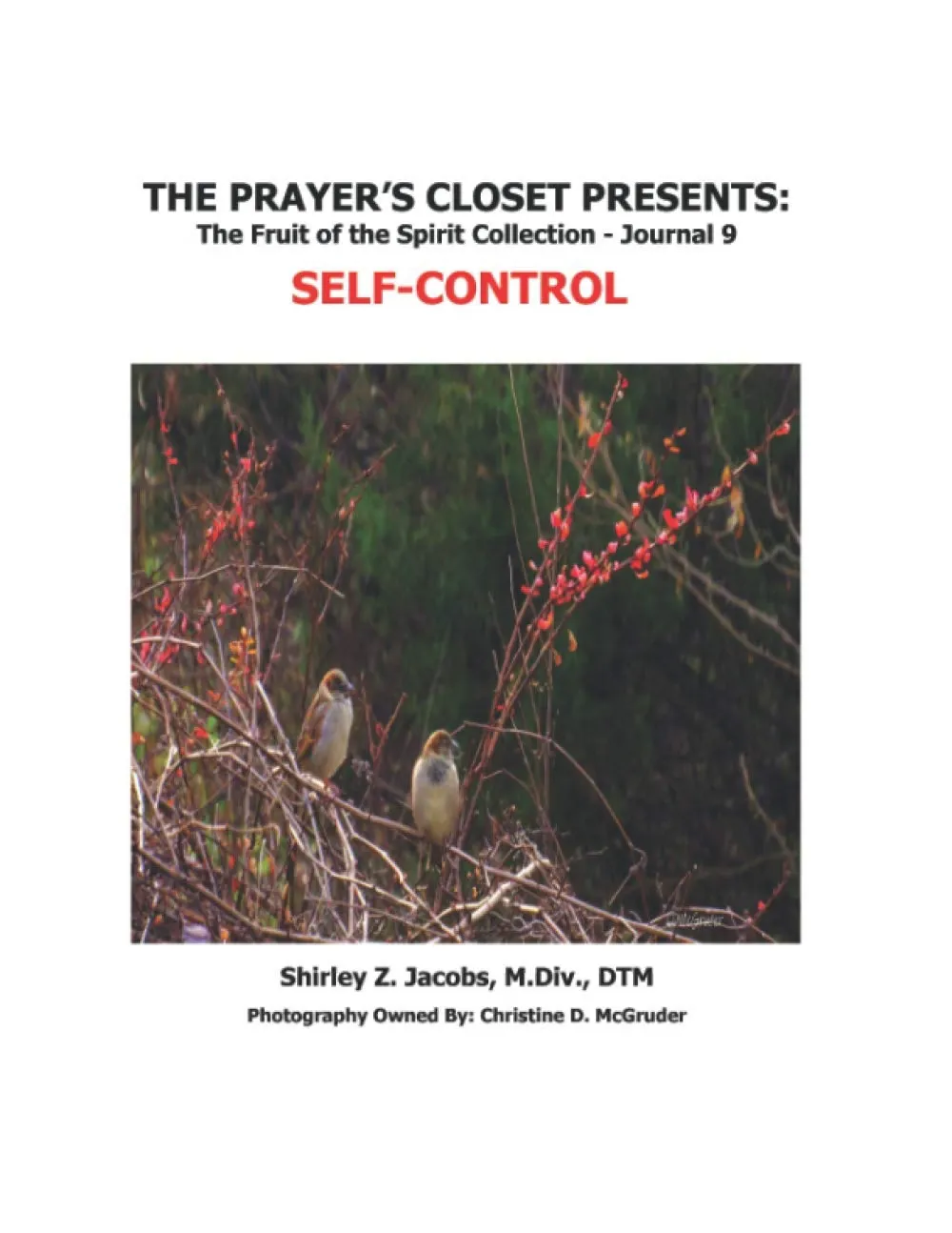 The Prayer's Closet Presents: The Fruit of the Spirit Collection, Self Control journal cover